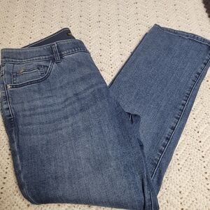 Lee Plus Regular Fit Mid Rise  5 Pocket Jeans 16W PETITE